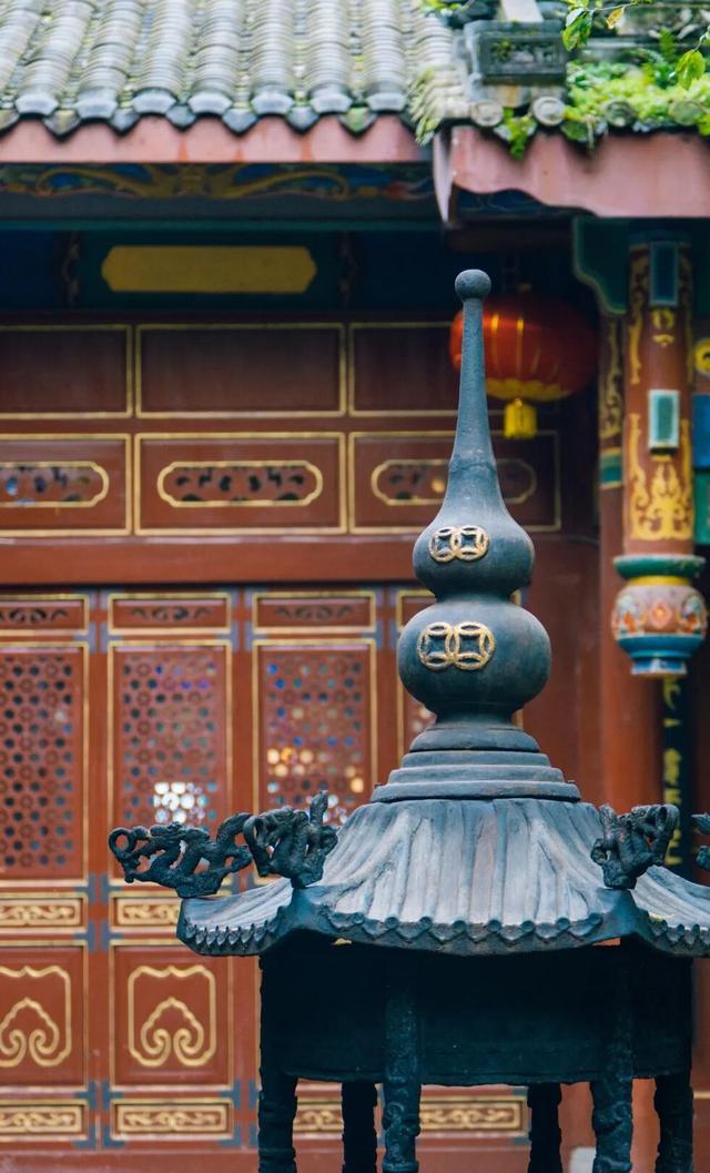 黄了！成都出发1.5h刹拢赏秋秘境，茶海风光无敌，银杏美了上千年！