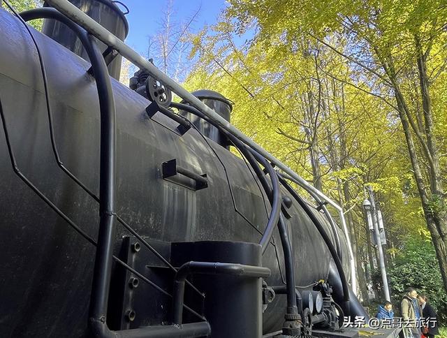 成都市中心最美银杏观赏地，这6处你去过吗？都不要门票！