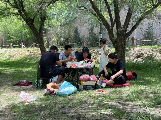 齐靳湿地——会宁的“高原水乡”