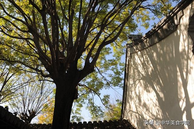 山东临清，藏着一个鲜为人知的4A级景区