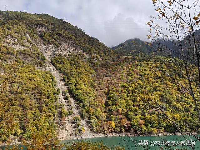 米亚罗彩林季，观赏一日游！