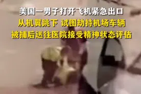 美国一男子打开飞机紧急出口从机翼跳下，被捕后送往医院接受精神状态评估图片
