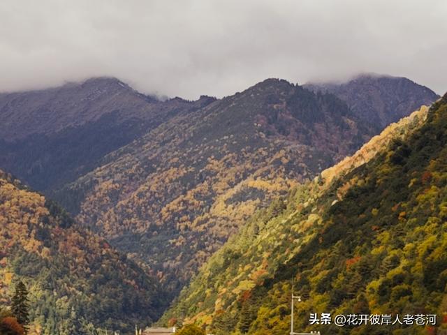 米亚罗彩林季，观赏一日游！
