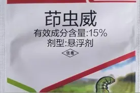 茚虫威，替代虫螨腈的高效杀虫剂，用好5个方案，打肉虫安全高效图片