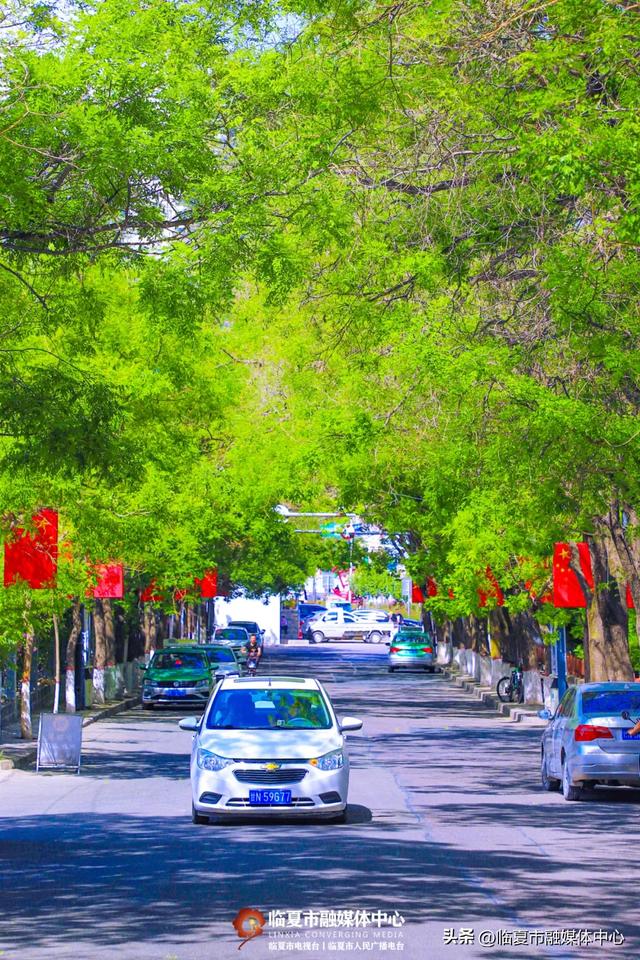 含氧量爆表!闯入花都临夏市的“绿野仙踪”,开启你的完美夏日~