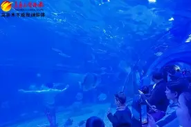 乌鲁木齐南山景区海洋馆里欢度春节图片