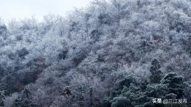 绝美!三江大塘坳惊现“琉璃仙境”!