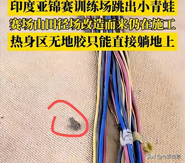 场馆疑似没空调 王楚钦头顶冰袋降温
