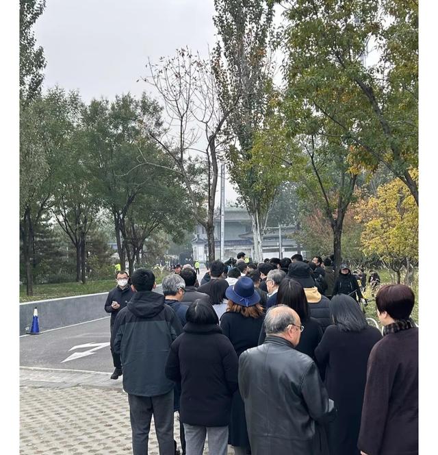 沉痛送别！杨振宁遗体告别仪式今日举行，百岁科学巨匠终成永恒