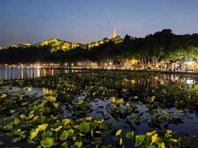 西湖免费22年赚翻了!旅游收入从294亿到3450亿,文旅新逻辑