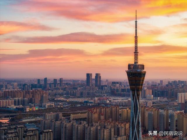 郑州用600株银杏带你迎接“醉”美的秋天