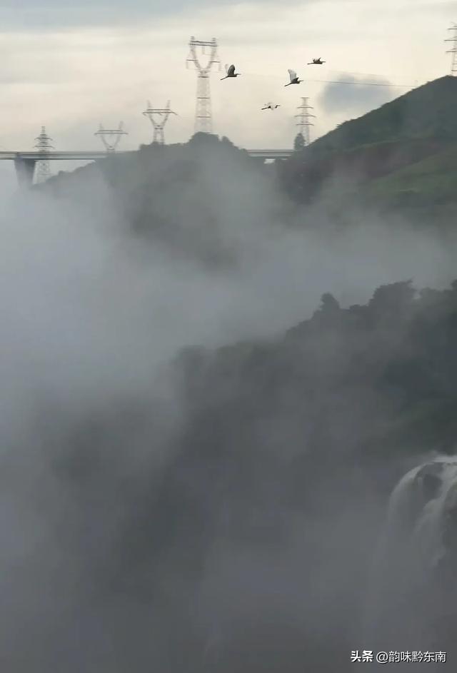 贵州兴义:白鹭与水墨山河的诗意邂逅