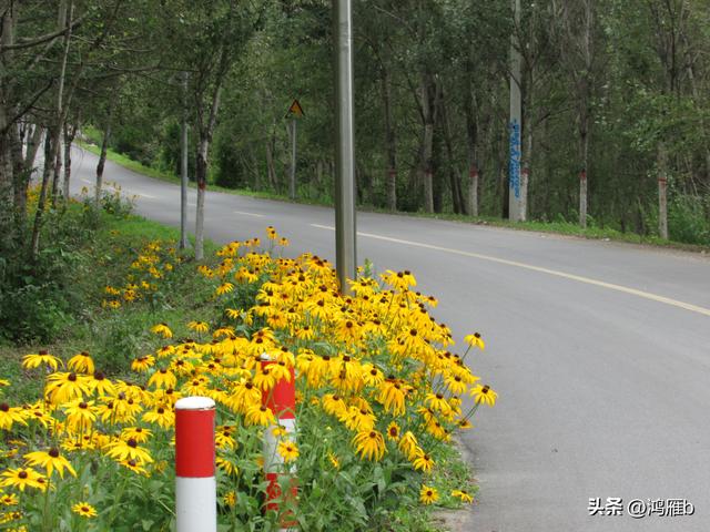 本溪太子河沿途一百公里风光——老房河滴台头（六）