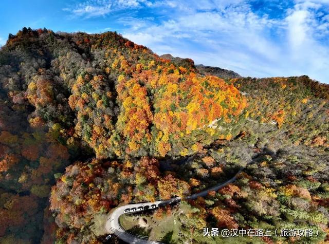 免票!半价!汉中这处红叶绝佳观赏期已至,周末快冲!