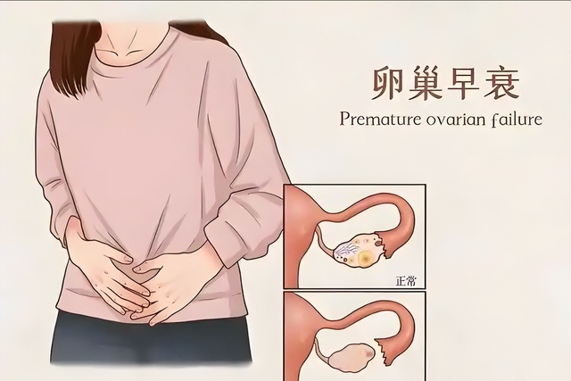 斯坦福大学研究发现：体力劳动较多的女性，卵子质量或会更高？
