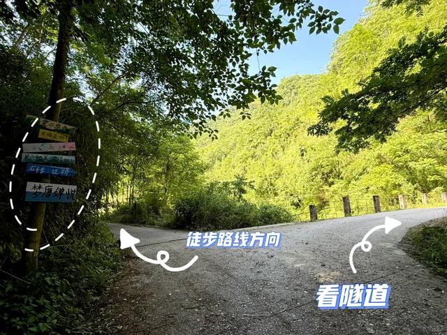 快收藏！新发现的耍水徒步地，成都1h直达，清凉人少且免费！