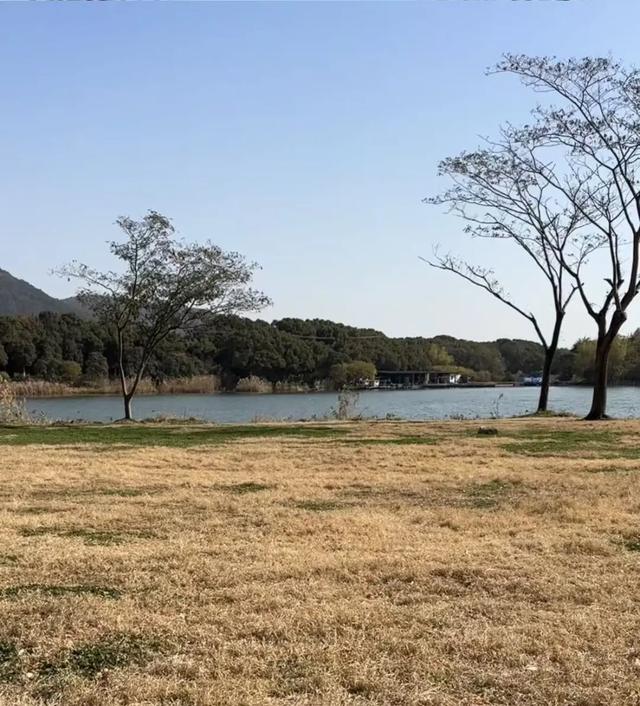 一场露营手记：在劳作与闲适之间