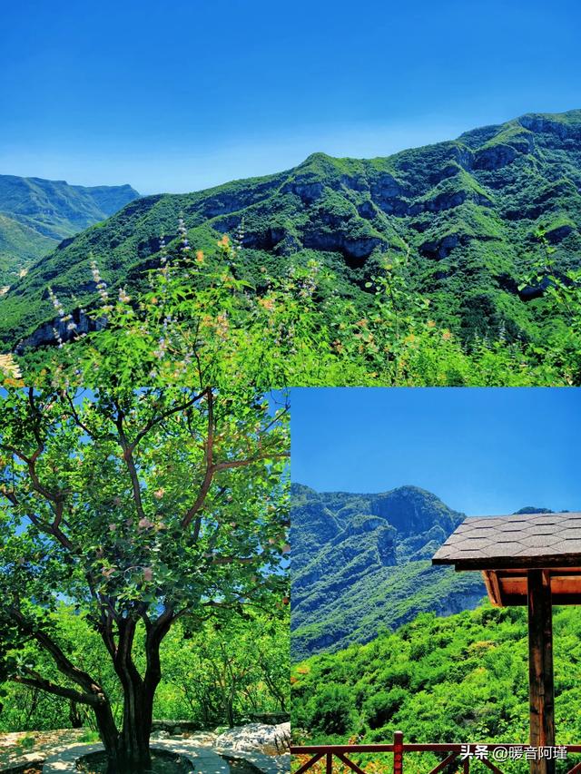 坡峰岭×药师寺:山林与禅意的完美周末