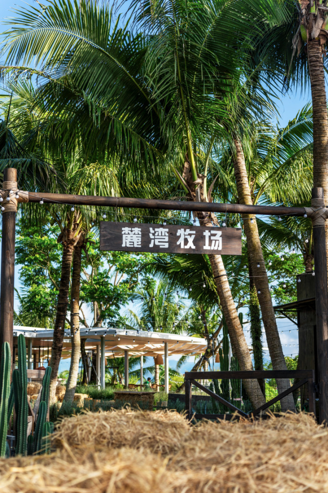 1月10日万宁主场对阵五指山，免费观赛，还有这些游玩宝藏地等你解锁！