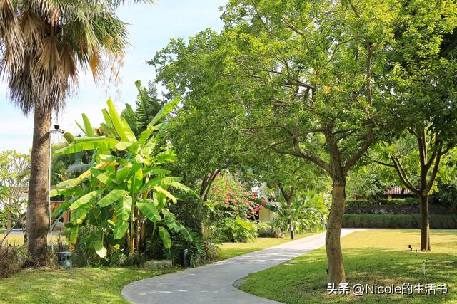 稻浪浸温汤，古村藏清欢