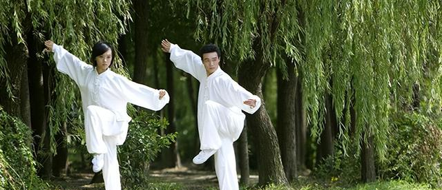 学太极拳此套路，一通百通，融会贯通