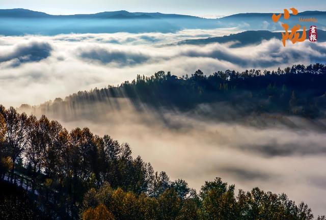 【小陇画报·418期】康乐的秋日 尽在这些斑斓色彩中