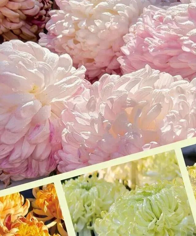 陶渊明，你的“互联网嘴替”是开封！