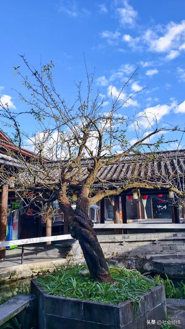 腾冲玉泉园：古景藏幽境，小桥流水似桃源