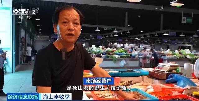 东海开渔梭子蟹市场价格如何