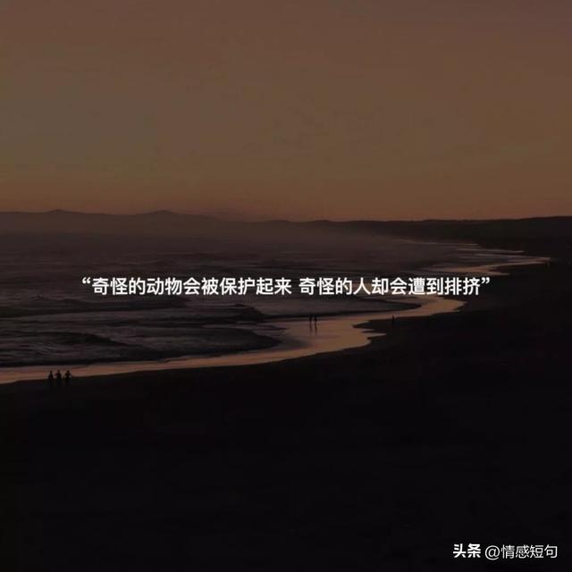 特别成熟的高级文案
