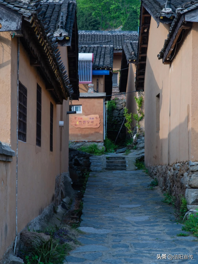 秋色正斑斓！信阳赏秋打卡地推荐