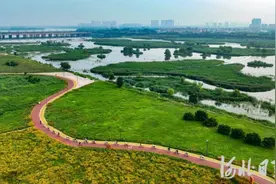 锚定现代化 改革再深化 | 滹沱河生态“蝶变”图片