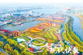 他乡遇故乡，盐城成 “第二居所”图片