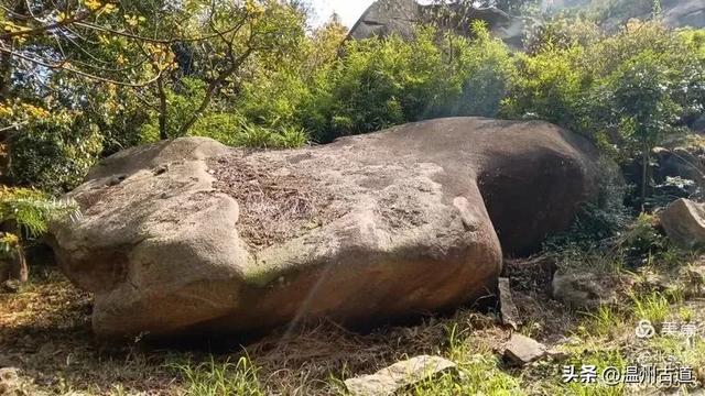 大罗山这条改造过的登山步道你可去过?