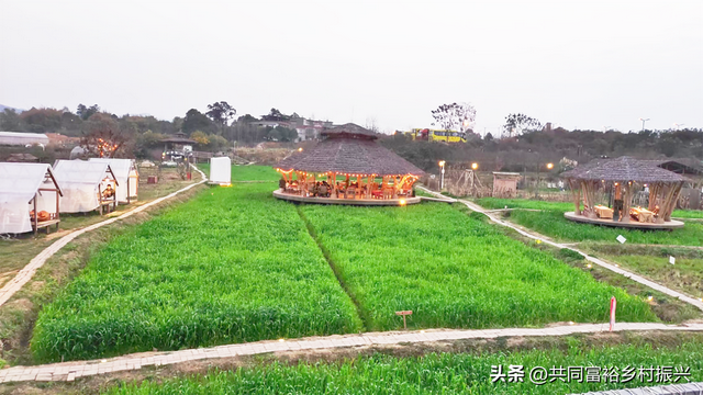 农场如何打造“美学场景”提升游客情感消费？总结6种低成本玩法