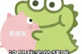 情侣不正经聊天|抹茶旦旦动态表情包图片