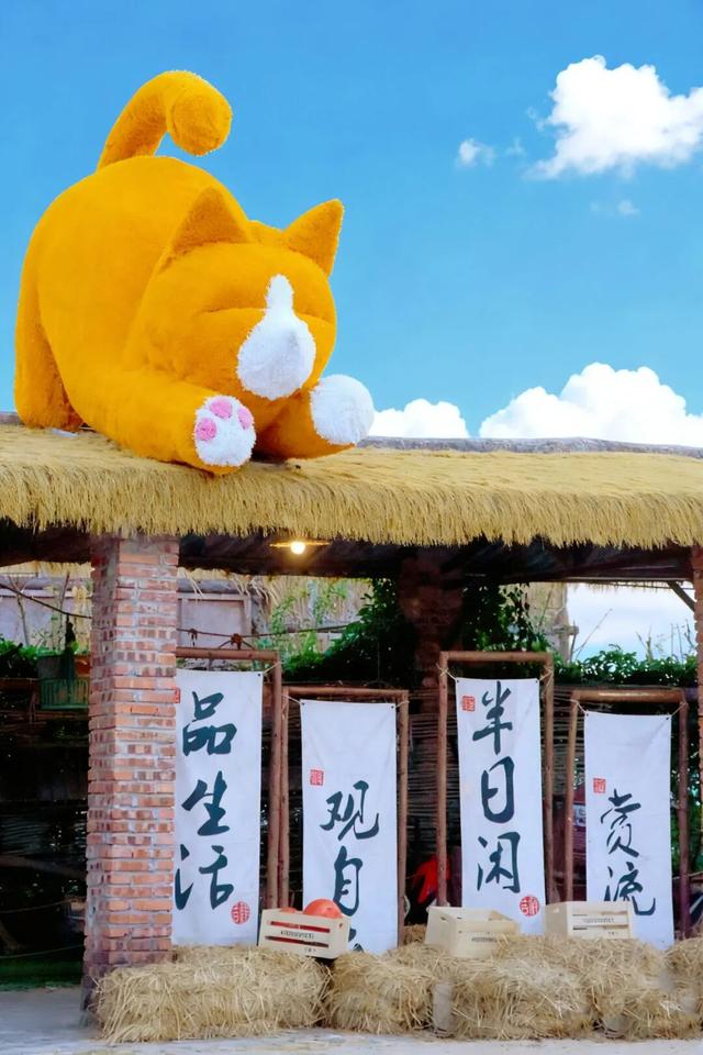 【百千万工程“濠”实践】十里海岸铺锦绣，千般赋能兴乡村！濠江沿龙虎滩风貌带绘就滨海文旅新画卷