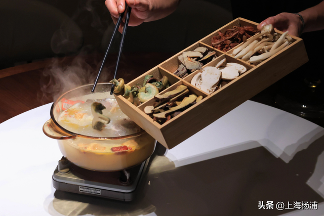 杨浦这些景点“限时优惠”，你去过几家？