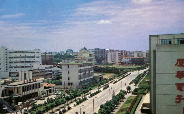 很惊艳：八十年代的厦门感觉整个城市都是公园啊