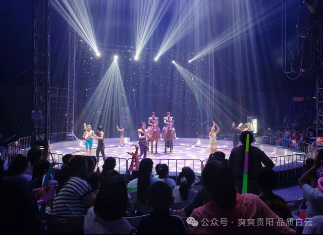 【爽游白云】双节同庆·文旅融合：白云区“动物王国·神奇动物”点亮假期经济新图景