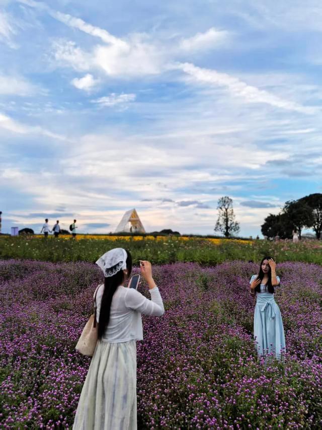 桂林：漓畔花海莲花源！