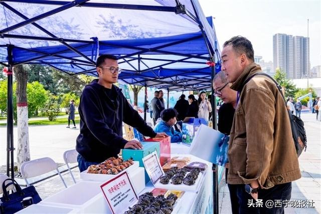 高原秘境走向世界，大柴旦旅游推介会在西宁引热潮