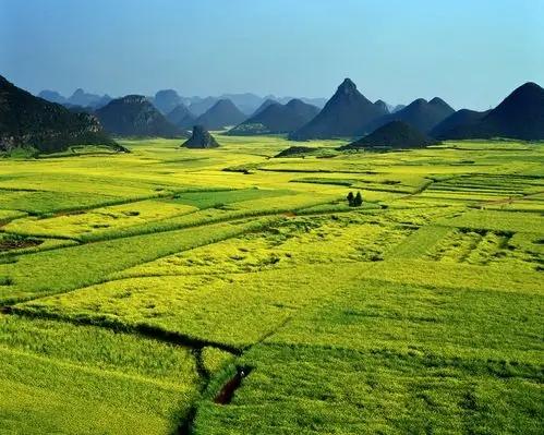 中国最美春光！踏春游春十个最佳去处