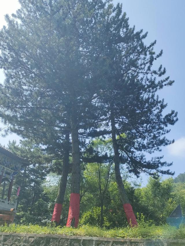 张家口深山藏古寺，景美人不知