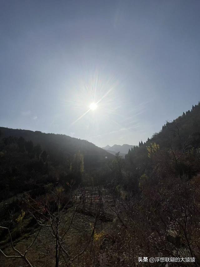 游赏过九鼎山后，我又跑到一户院里“强买”了大爷种在路边的白菜