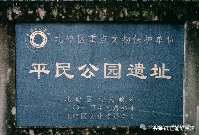 北碚公园竟是"大熊猫"命名地，原来藏着这么多秘密