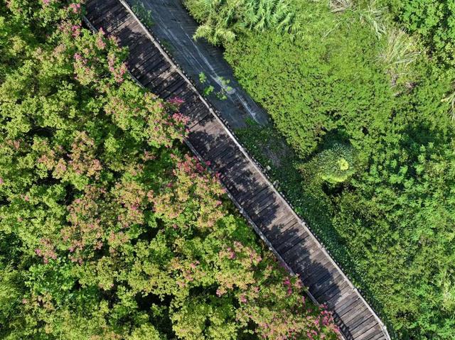 重庆中央公园片区滨水公园+1！包含八大主题景点