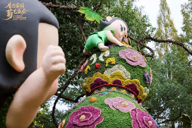 不愧是顶流！一大早就红了，人挤人持续好多天！萧山人家门口也有······