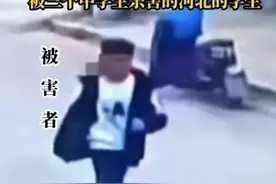 初中生被害后续：男孩手机被找到，村民发声，省公安厅介入图片