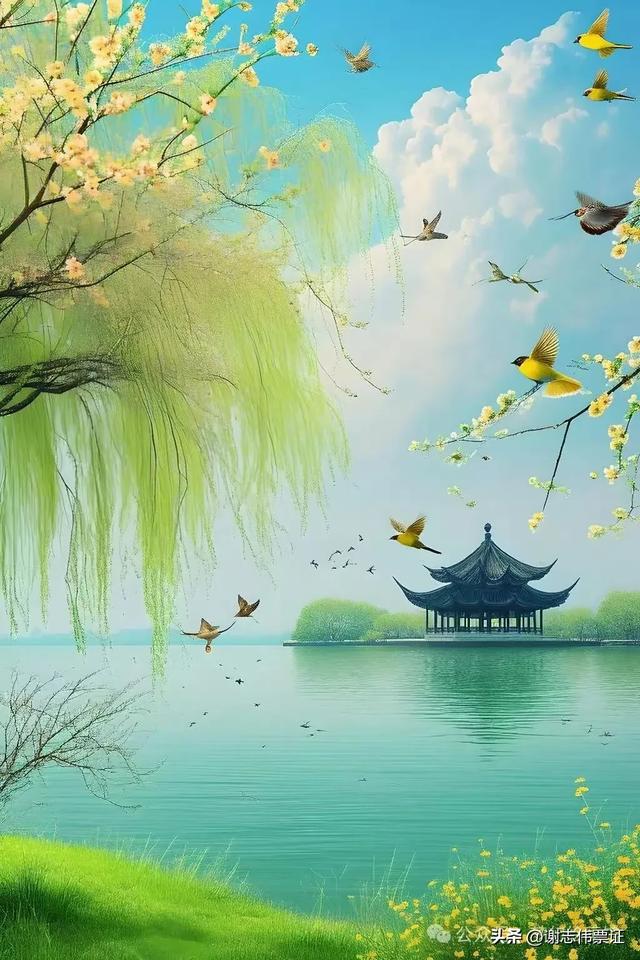 柳绿花红 风光无限